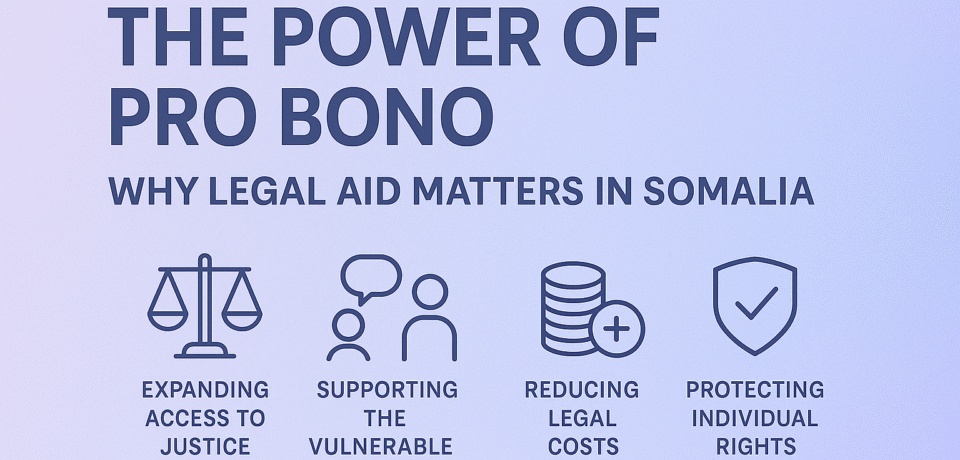 The power of Pro Bono